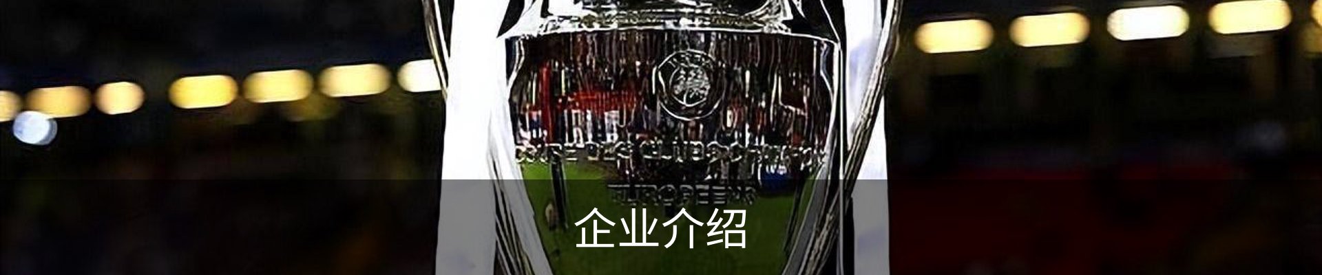 企业介绍